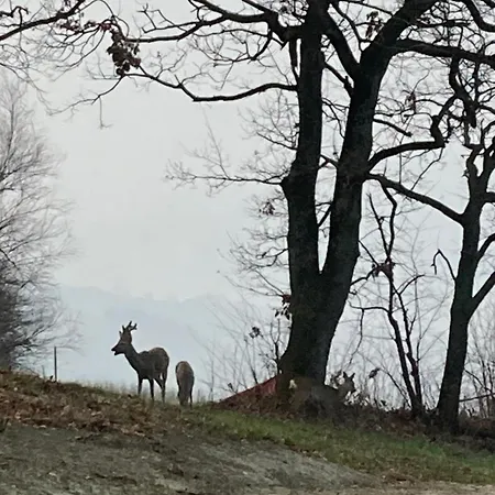 Lüks kamp alanı Glamping Pettirosso *