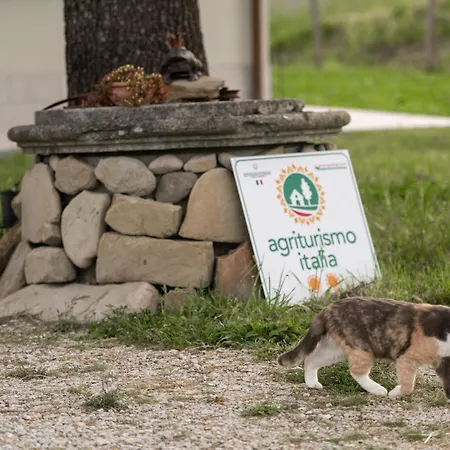Glamping Pettirosso *