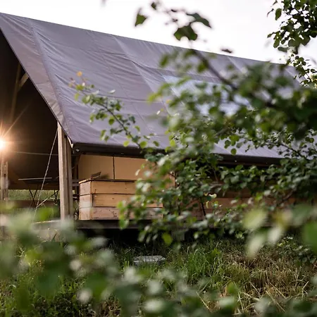 Οργανωμένο κάμπινγκ Glamping Pettirosso Fratta Terme