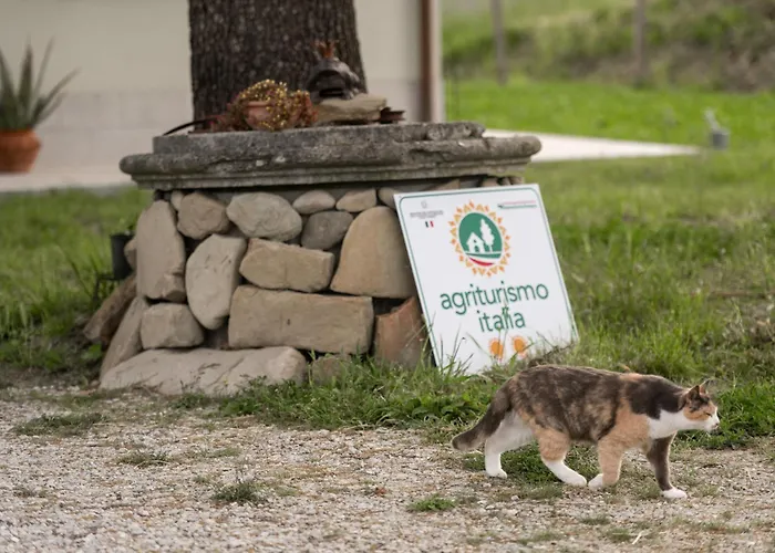 Glamping Pettirosso *