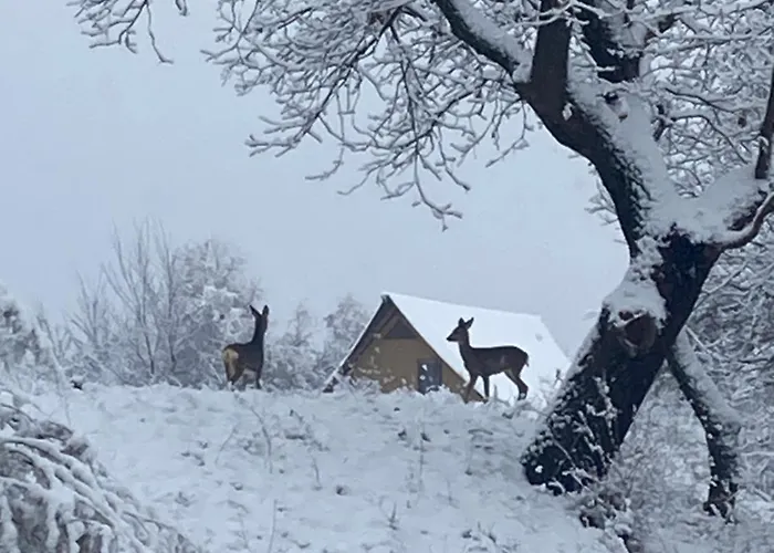 Glamping Pettirosso Фратта-Терме